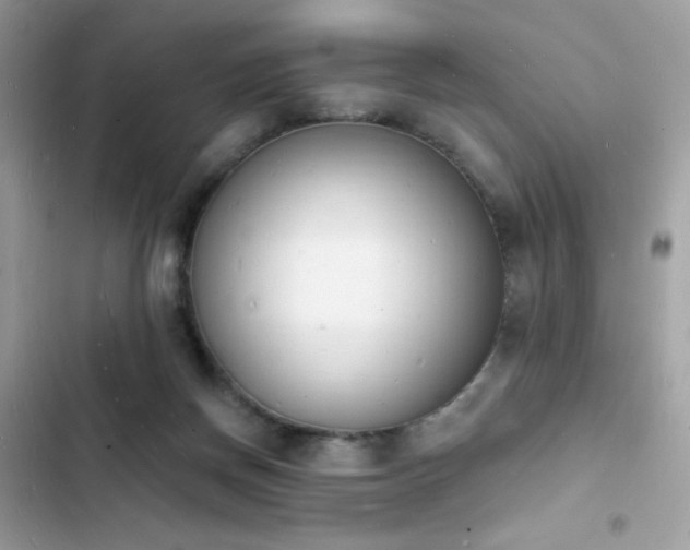 X0000103970166200809191542