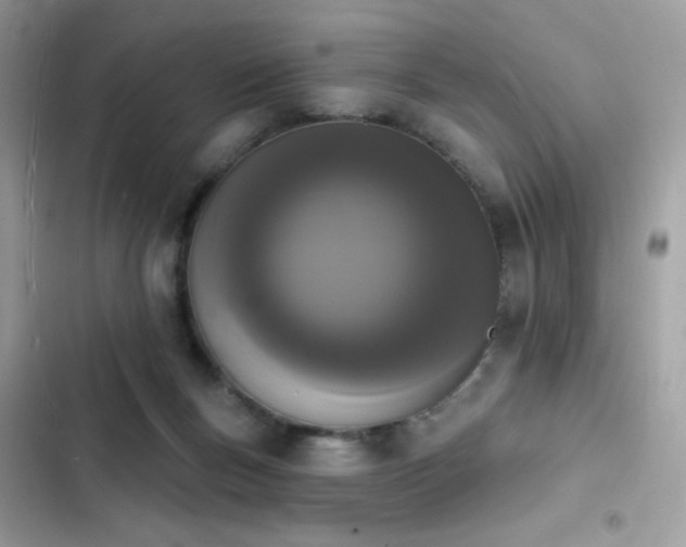 X0000103970167200809191542