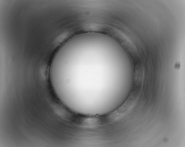 X0000103970168200809191542