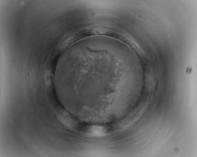 X0000103970169200809191542