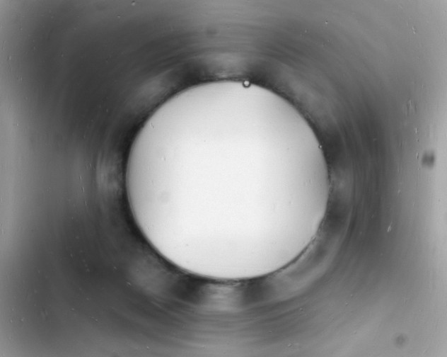 X0000103970170200809191542