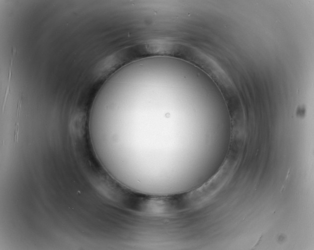 X0000103970171200809191542