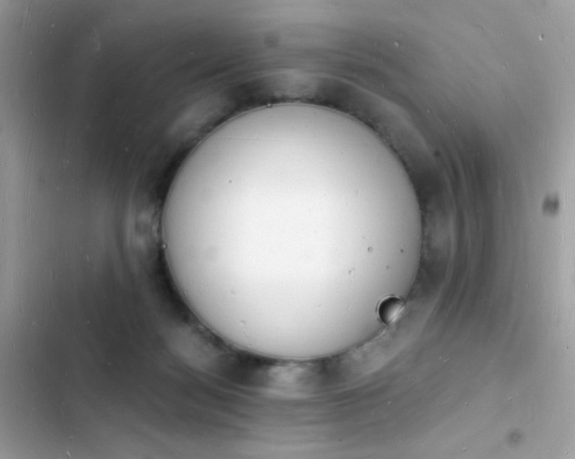 X0000103970172200809191542