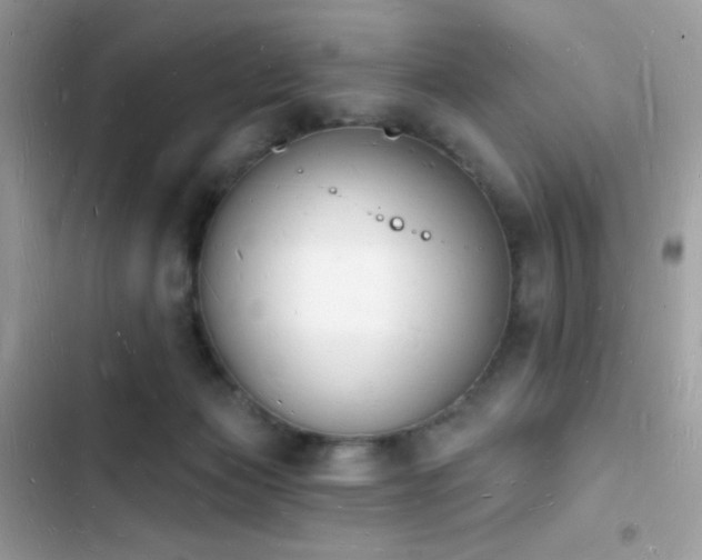 X0000103970173200809191542