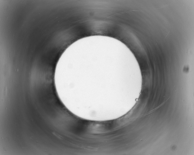 X0000103970174200809191543