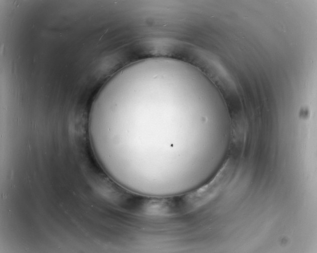 X0000103970175200809191543