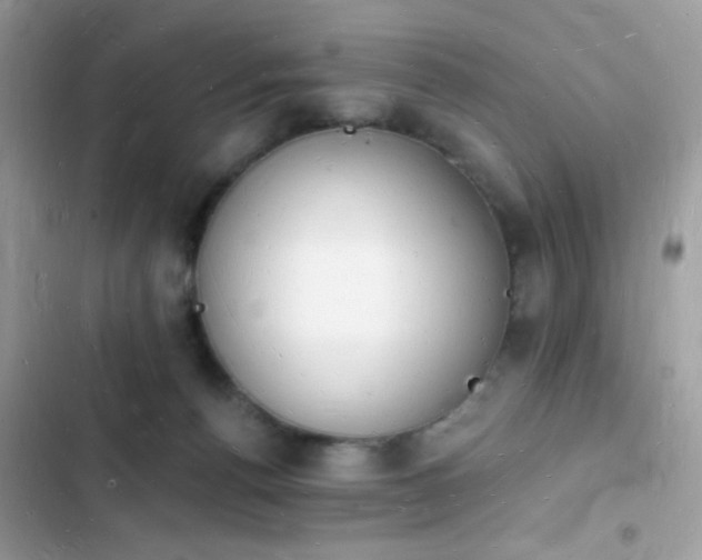 X0000103970176200809191543