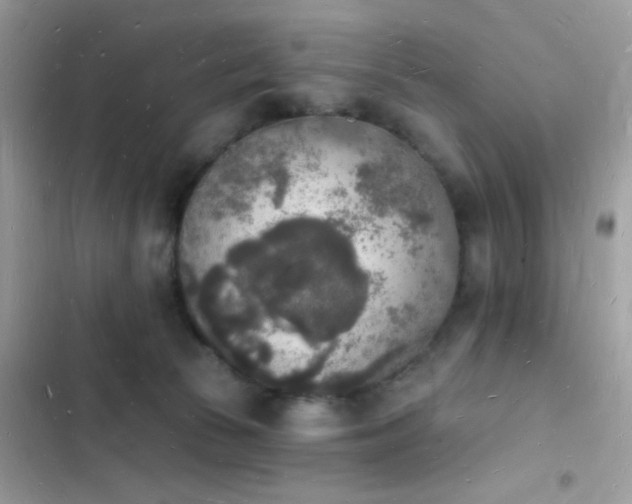 X0000103970177200809191543