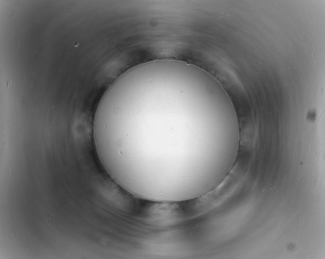 X0000103970179200809191543