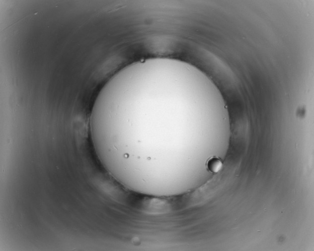 X0000103970180200809191543