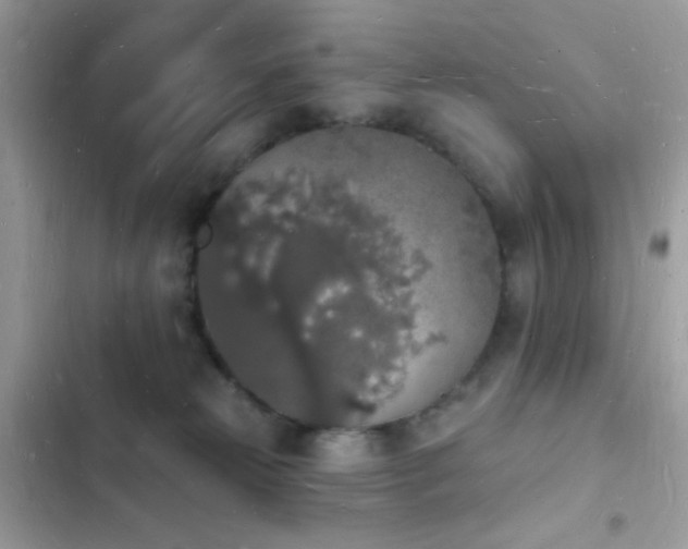 X0000103970181200809191543