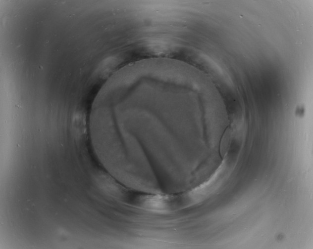 X0000103970182200809191543