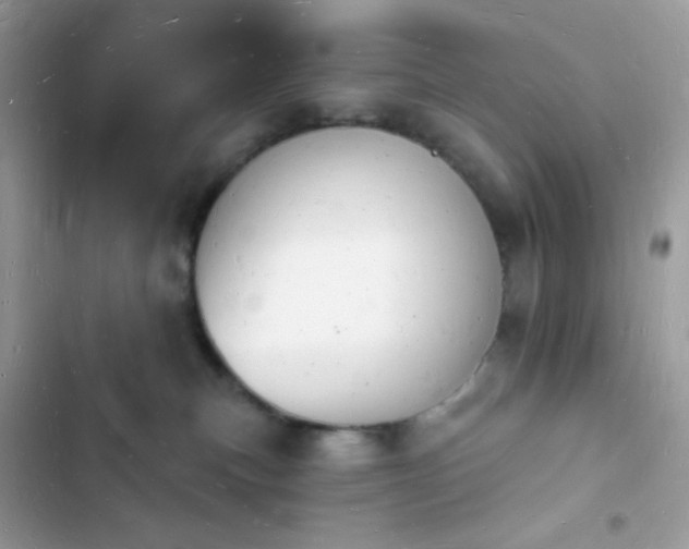 X0000103970183200809191543