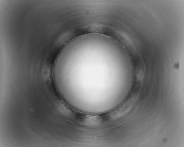 X0000103970185200809191543