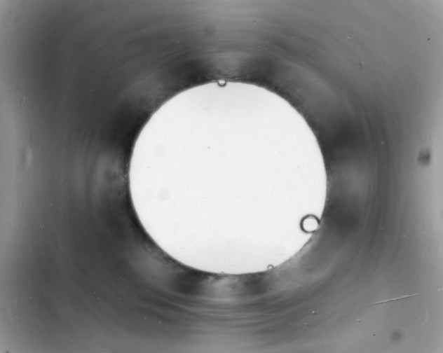 X0000103970186200809191543