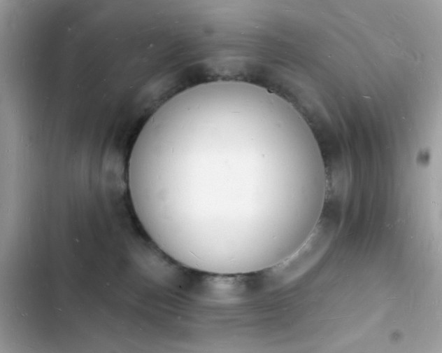 X0000103970187200809191543