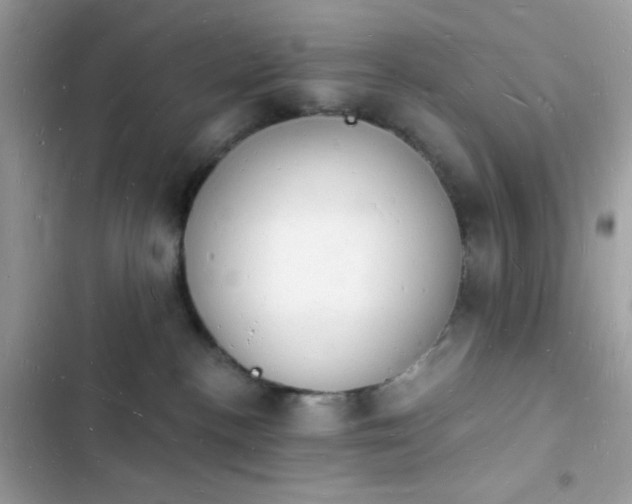 X0000103970188200809191543