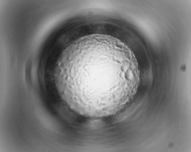 X0000103970189200809191543