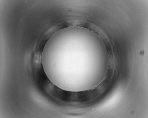 X0000103970191200809191543