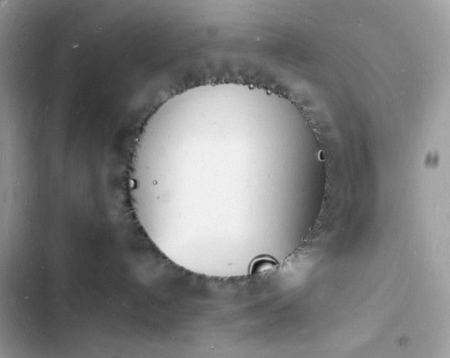 X0000103970192200809191543