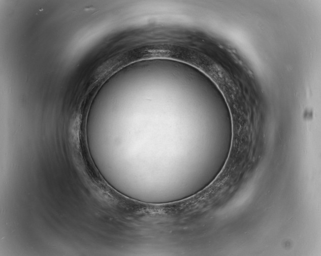 X0000103970194200809191542