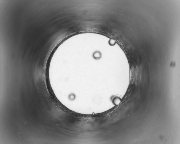 X0000103970195200809191542