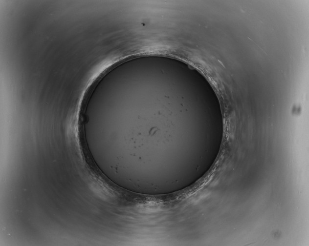 X0000103970196200809191542