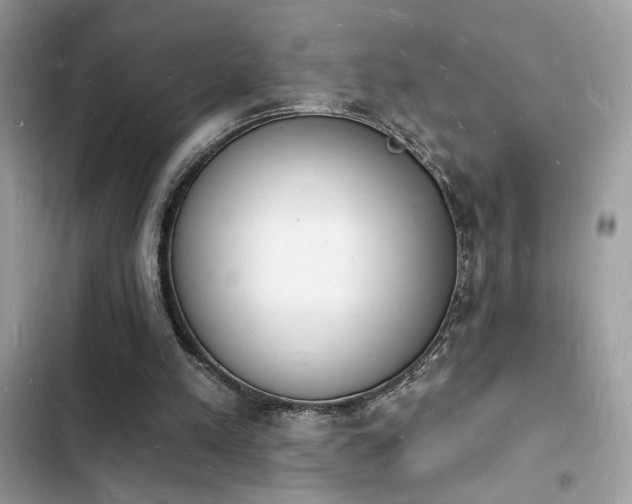 X0000103970197200809191542