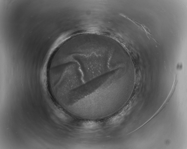 X0000103970198200809191542