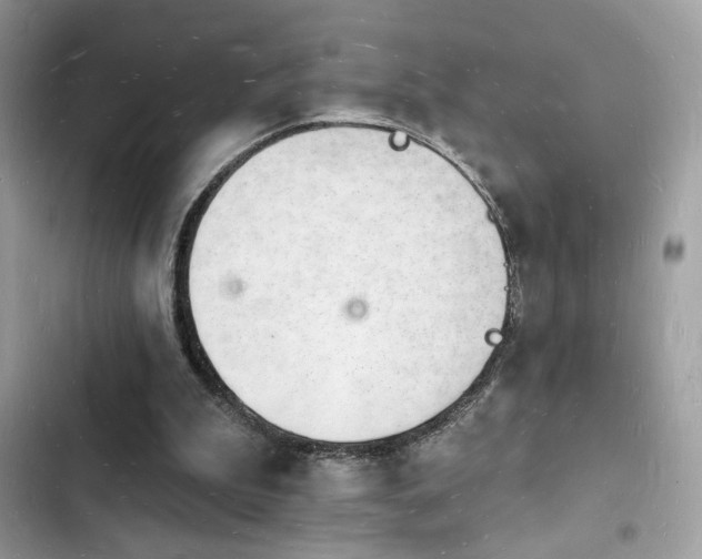 X0000103970199200809191542