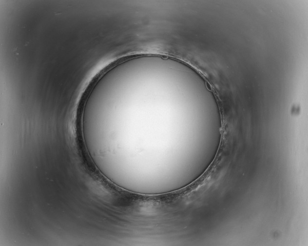 X0000103970200200809191542