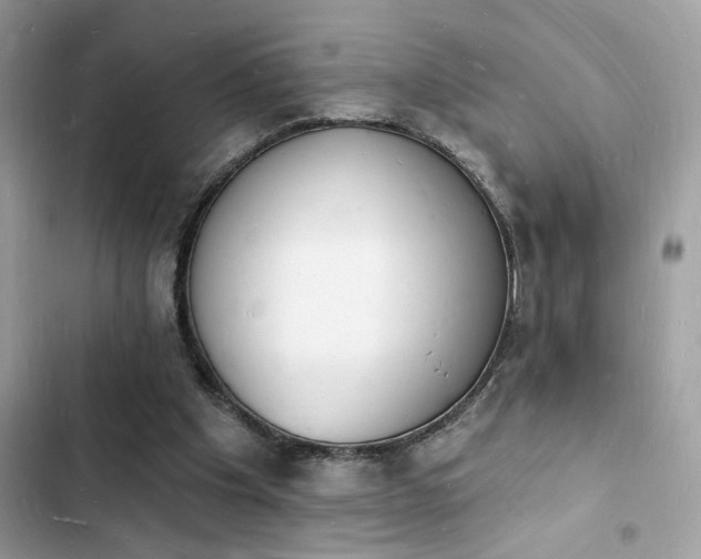 X0000103970201200809191542