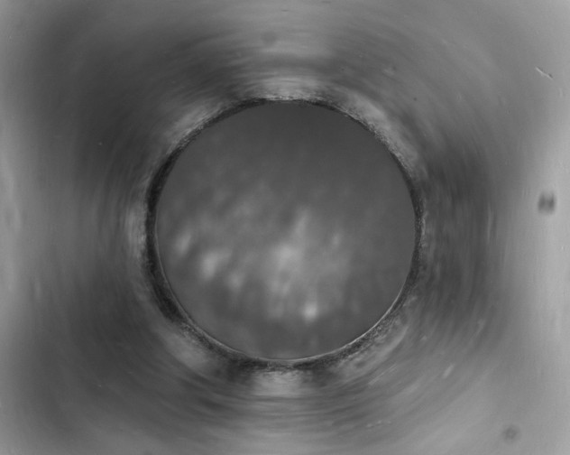 X0000103970202200809191542