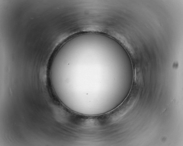 X0000103970204200809191542