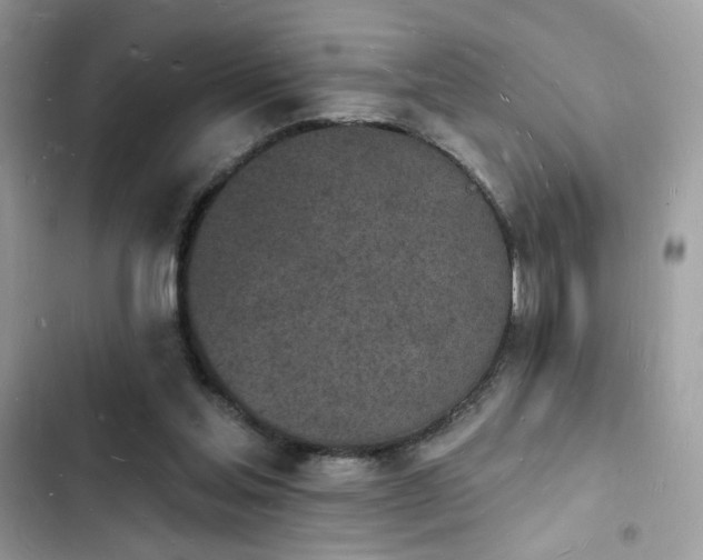 X0000103970205200809191542