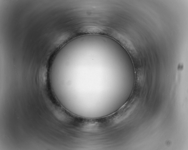 X0000103970206200809191542