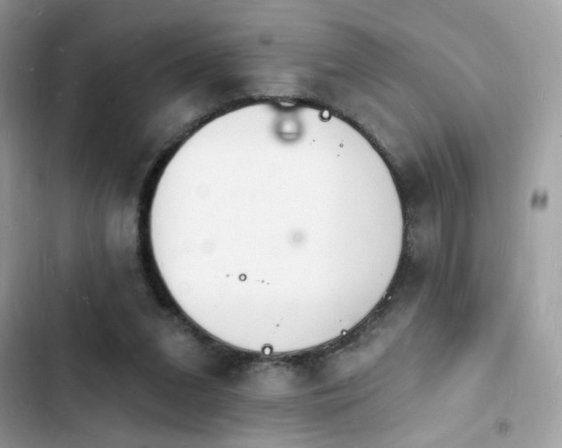 X0000103970207200809191542