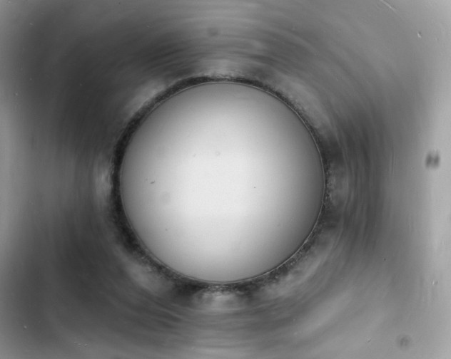 X0000103970208200809191542