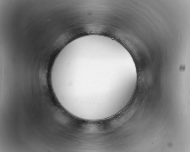 X0000103970209200809191542