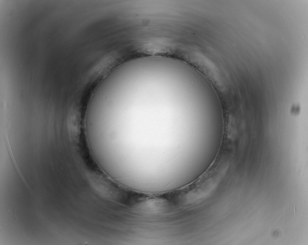 X0000103970210200809191542