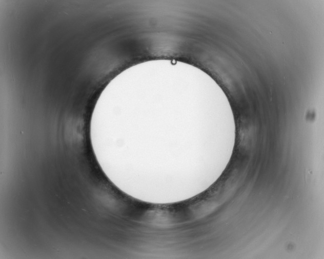 X0000103970211200809191542