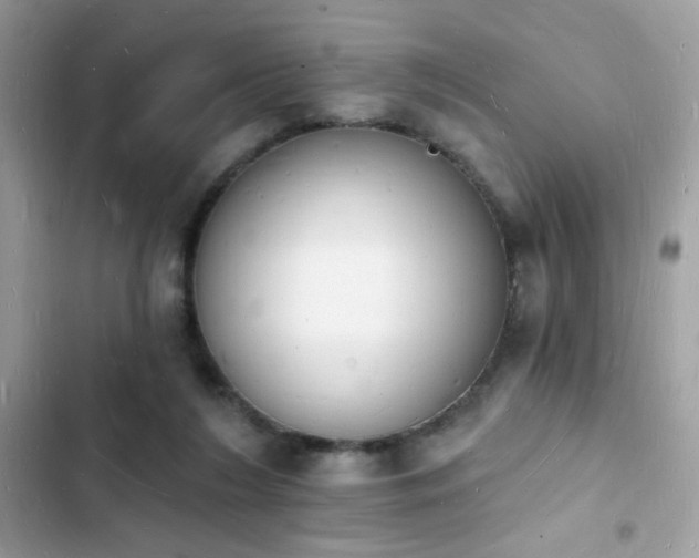 X0000103970212200809191542