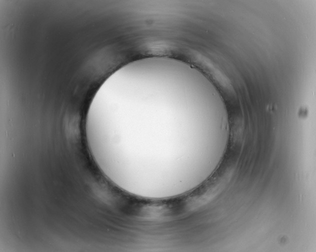 X0000103970213200809191542