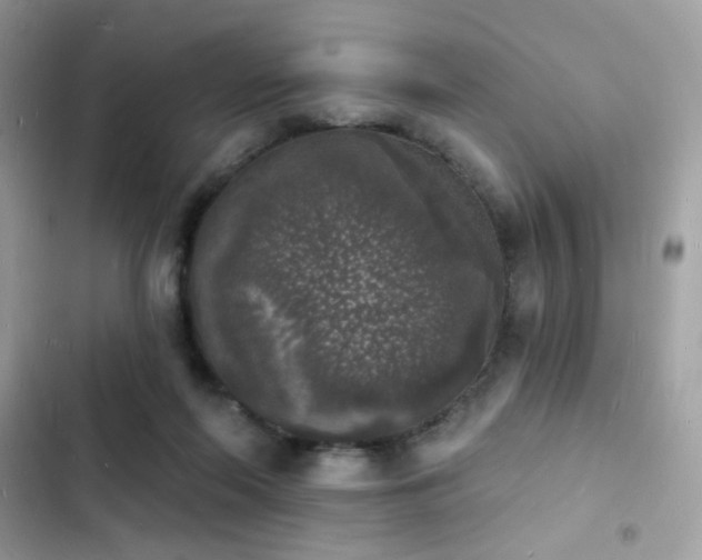 X0000103970214200809191542