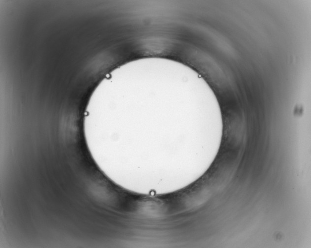 X0000103970215200809191542