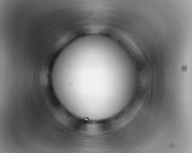 X0000103970216200809191542