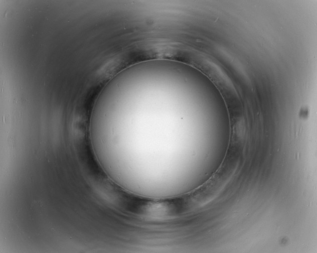 X0000103970218200809191542