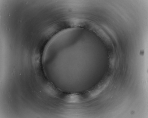 X0000103970219200809191542