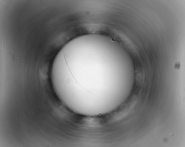 X0000103970221200809191542