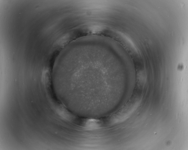 X0000103970222200809191542